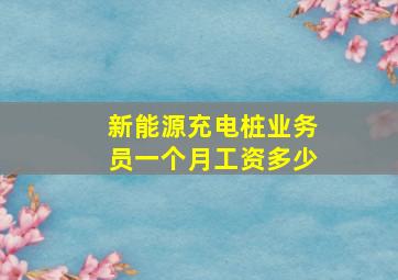 新能源充电桩业务员一个月工资多少