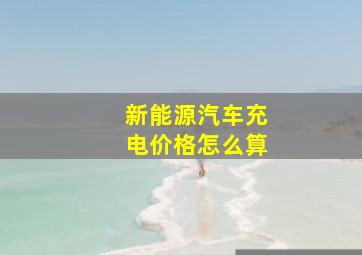 新能源汽车充电价格怎么算