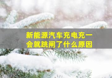 新能源汽车充电充一会就跳闸了什么原因