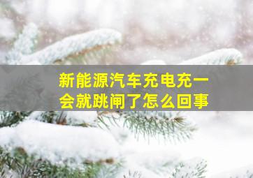 新能源汽车充电充一会就跳闸了怎么回事