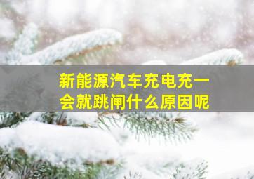 新能源汽车充电充一会就跳闸什么原因呢