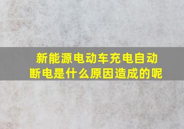 新能源电动车充电自动断电是什么原因造成的呢