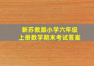 新苏教版小学六年级上册数学期末考试答案