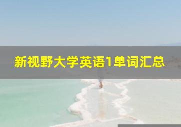 新视野大学英语1单词汇总