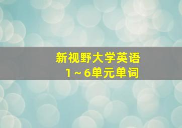 新视野大学英语1～6单元单词