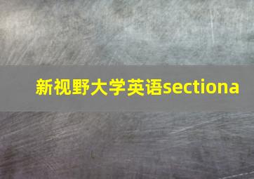 新视野大学英语sectiona