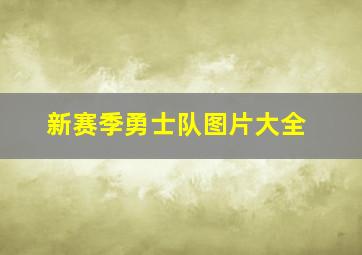 新赛季勇士队图片大全