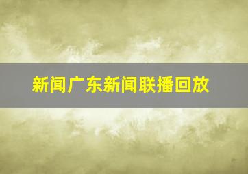 新闻广东新闻联播回放