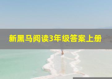 新黑马阅读3年级答案上册