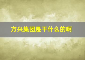 方兴集团是干什么的啊