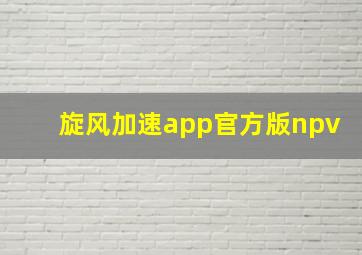 旋风加速app官方版npv