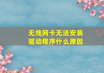 无线网卡无法安装驱动程序什么原因