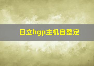 日立hgp主机自整定