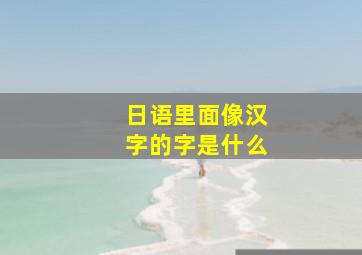 日语里面像汉字的字是什么