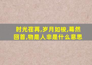 时光荏苒,岁月如梭,蓦然回首,物是人非是什么意思