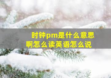 时钟pm是什么意思啊怎么读英语怎么说