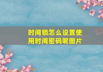 时间锁怎么设置使用时间密码呢图片