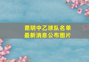 昆明中乙球队名单最新消息公布图片