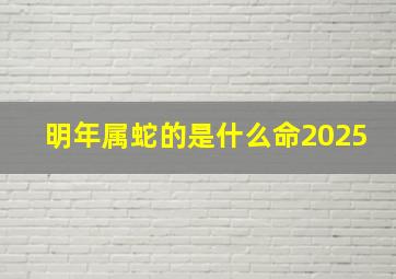 明年属蛇的是什么命2025