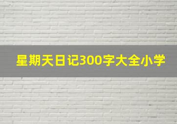 星期天日记300字大全小学