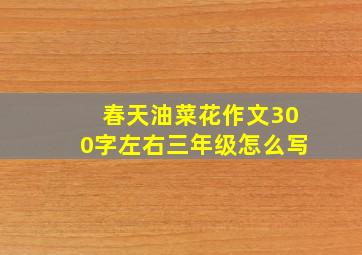 春天油菜花作文300字左右三年级怎么写