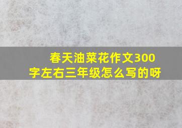 春天油菜花作文300字左右三年级怎么写的呀