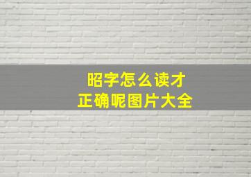 昭字怎么读才正确呢图片大全