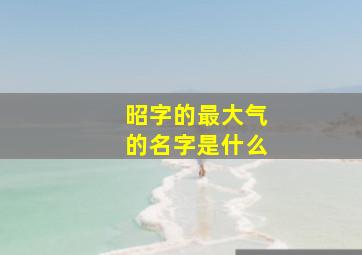 昭字的最大气的名字是什么