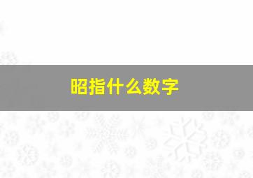 昭指什么数字