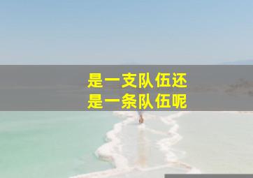 是一支队伍还是一条队伍呢