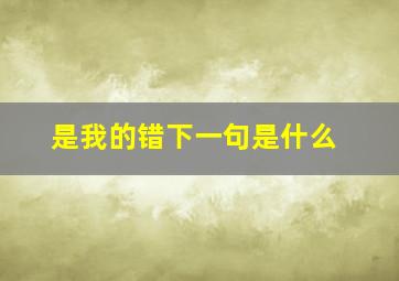 是我的错下一句是什么