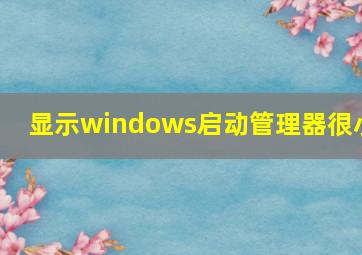 显示windows启动管理器很小