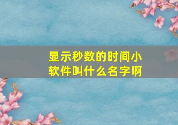 显示秒数的时间小软件叫什么名字啊