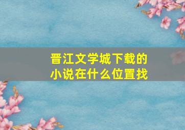 晋江文学城下载的小说在什么位置找