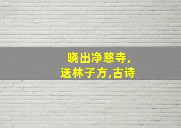 晓出净慈寺,送林子方,古诗