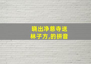 晓出净慈寺送林子方,的拼音