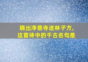 晓出净慈寺送林子方,这首诗中的千古名句是