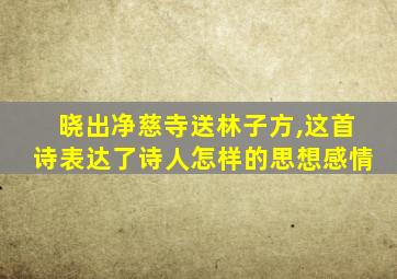 晓出净慈寺送林子方,这首诗表达了诗人怎样的思想感情