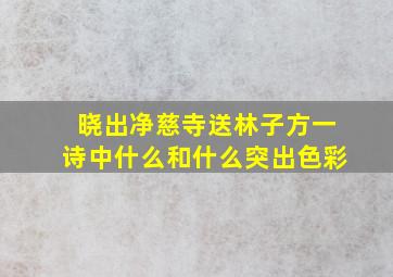 晓出净慈寺送林子方一诗中什么和什么突出色彩