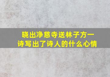 晓出净慈寺送林子方一诗写出了诗人的什么心情