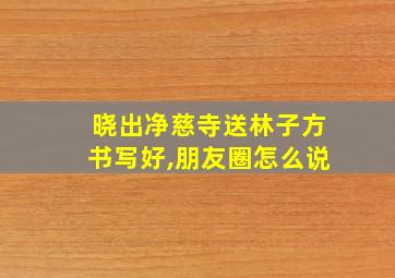 晓出净慈寺送林子方书写好,朋友圈怎么说