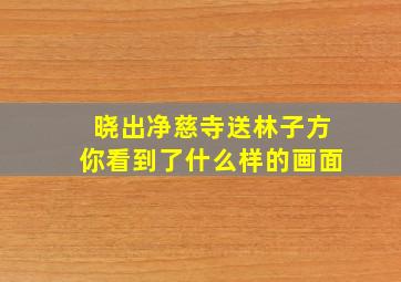 晓出净慈寺送林子方你看到了什么样的画面