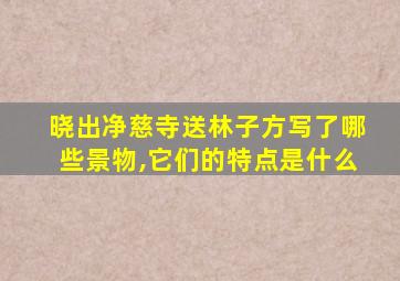 晓出净慈寺送林子方写了哪些景物,它们的特点是什么