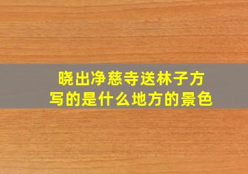 晓出净慈寺送林子方写的是什么地方的景色