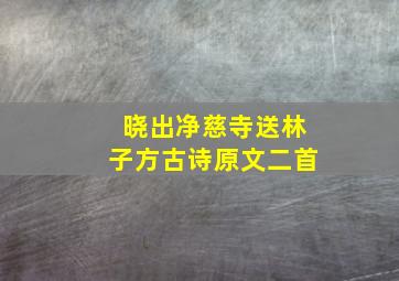 晓出净慈寺送林子方古诗原文二首