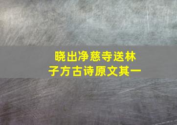 晓出净慈寺送林子方古诗原文其一