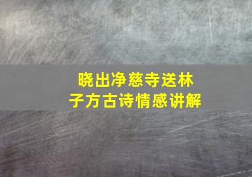 晓出净慈寺送林子方古诗情感讲解