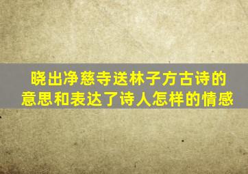 晓出净慈寺送林子方古诗的意思和表达了诗人怎样的情感