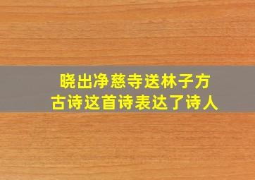 晓出净慈寺送林子方古诗这首诗表达了诗人