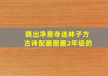 晓出净慈寺送林子方古诗配画图画2年级的